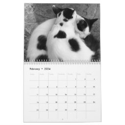 Kitty Cats of Greece Calendar | Zazzle