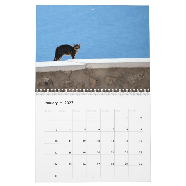 Kitty Cats of Greece Calendar (Jan 2027)