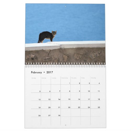Kitty Cats of Greece Calendar