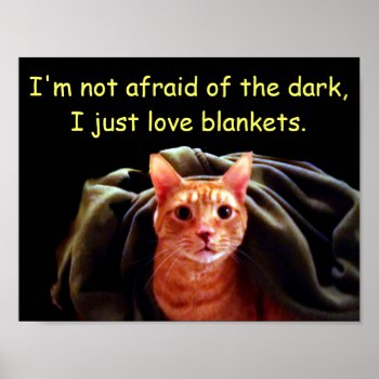 Kitty Cave Poster by UndefineHyde at Zazzle