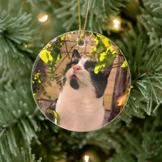 Kitty Ceramic Ornament (Tree)