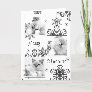 kitty christmas card