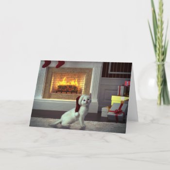 Kitty Christmas Holiday Card by CaptainScratch at Zazzle