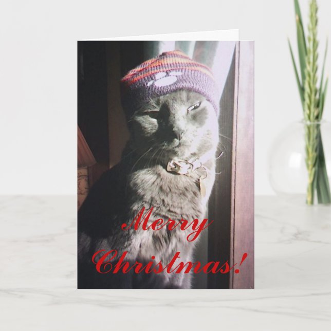 Kitty Christmas Holiday Card (Front)