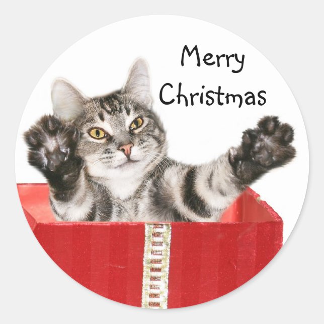 Kitty Christmas hug Classic Round Sticker (Front)