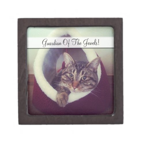 Kitty Close_Up Photograph Special Occasion Keepsake Box