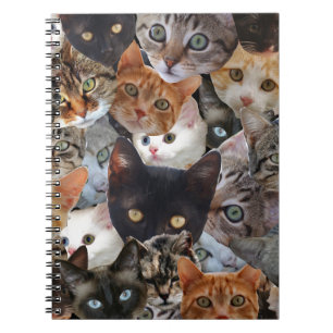 Kitty Collage Notebook