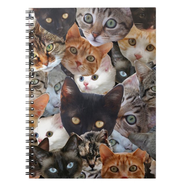 Kitty Collage Notebook (Front)