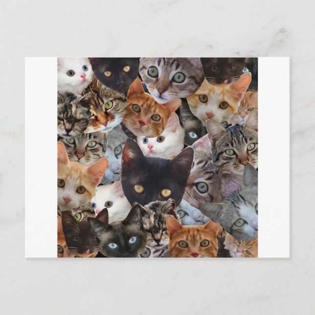 Kitty Collage Postcard (Front)