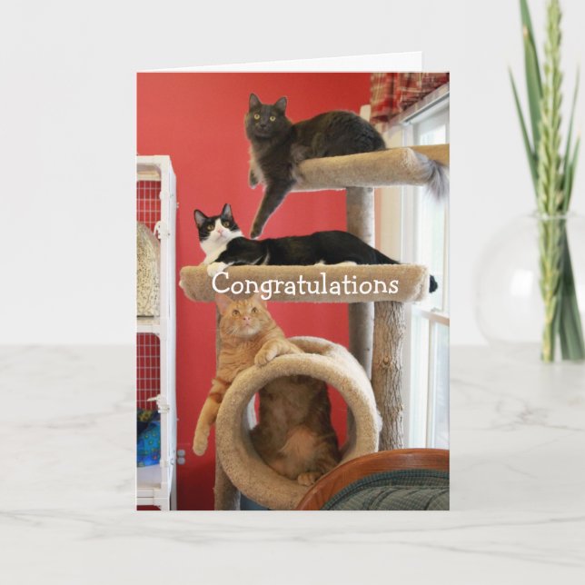 Kitty Condo Card (Front)