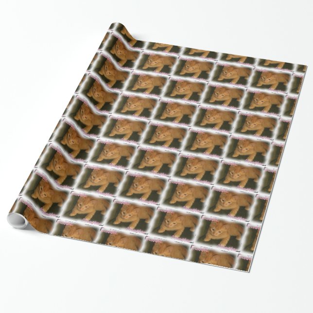 Kitty "Cuddle Monster" Wrapping Paper (Unrolled)