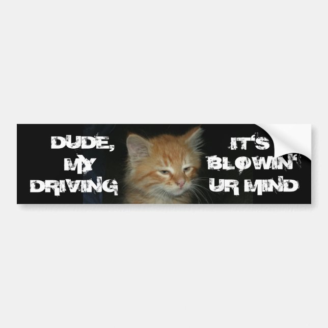 Kitty "DUDE DRIVIN BLOWIN' UR MIND" Bumper Sticker (Front)