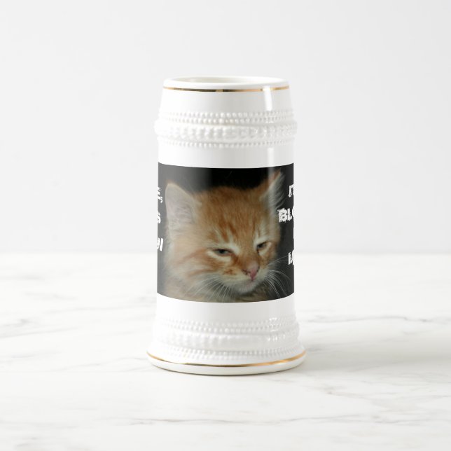 Kitty "DUDE, THIS BREW IT'S BLOWIN' MY MIND" Stein (Center)