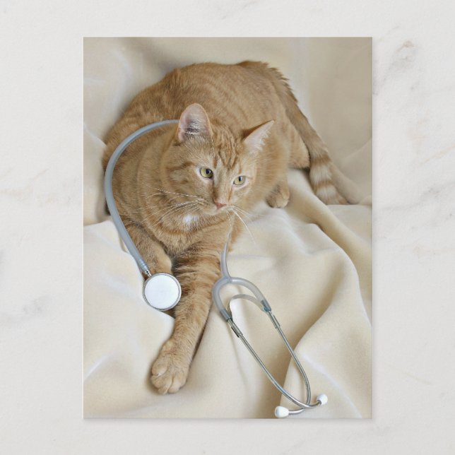 Kitty get well postcard (Front)