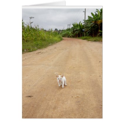 Kitty greeting card