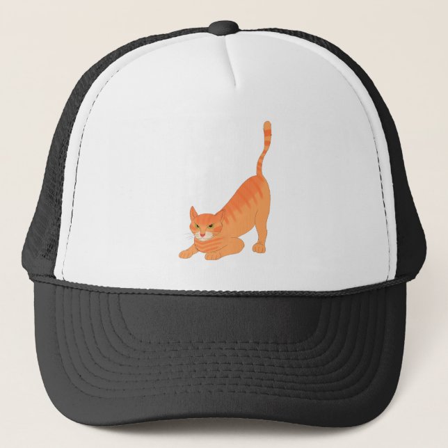 Kitty Hat (Front)