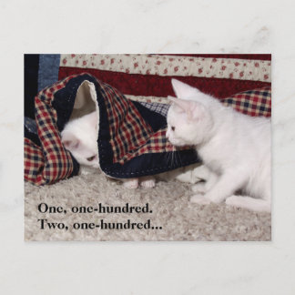 Kitty Hide-And-Seek Humor Post Card
