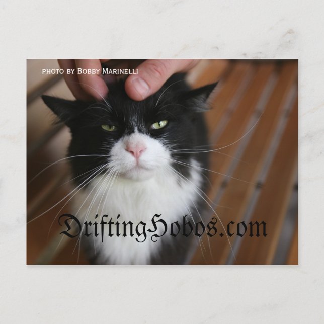 Kitty Hobo Postcard (Front)