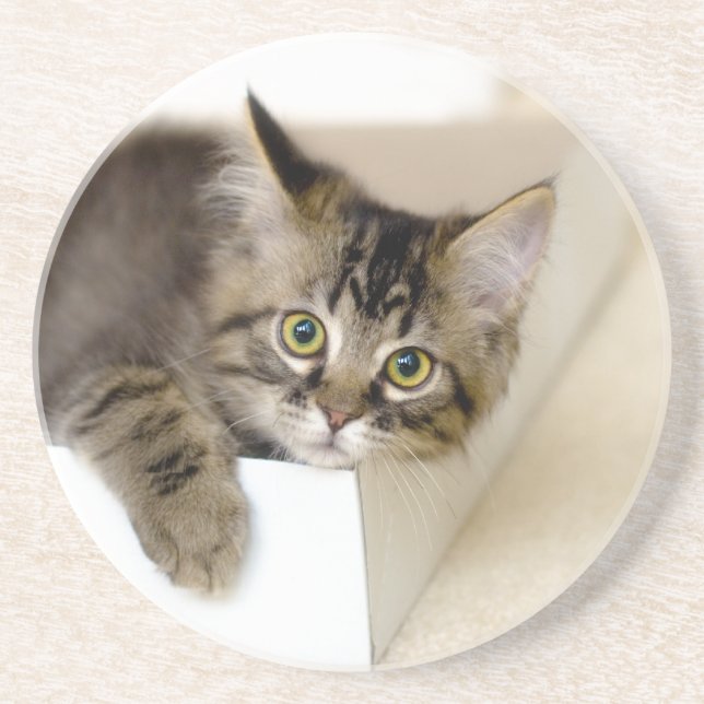 Kitty in a Box coaster (Front)