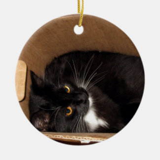 Black And White Cat Ornaments & Keepsake Ornaments | Zazzle