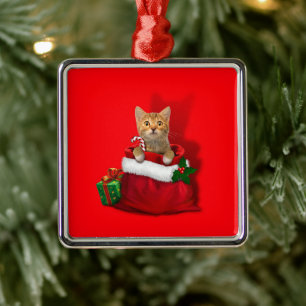 Kitty in a Christmas Bag Metal Ornament