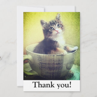 kitty in mug Thank You Card