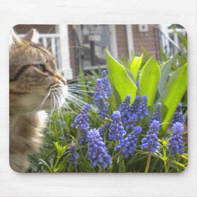 Kitty in Muscari Garden Mouse Pad (Front)