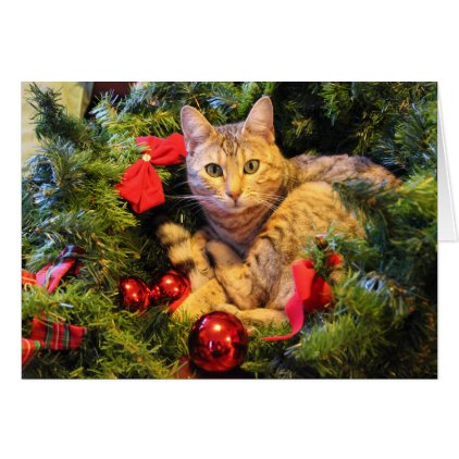 Kitty in the Christmas Tree Card