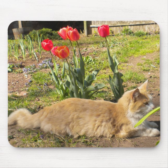 Kitty in the Garden Mousepad (Front)