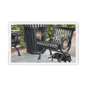 Kitty in The Park Acrylic Tray