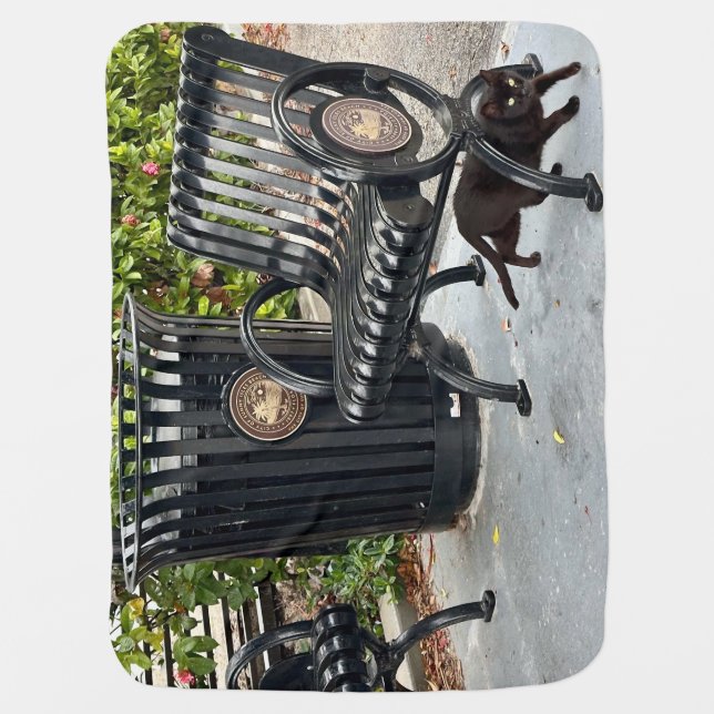 Kitty in The Park Baby Blanket (Front)