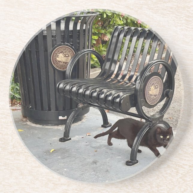 Kitty in The Park Coaster (Front)