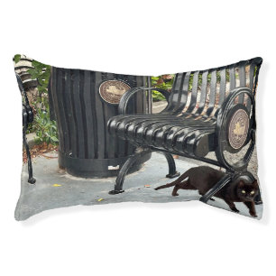 Kitty in The Park Pet Bed