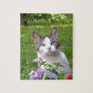 Kitty in the Petunias Puzzle