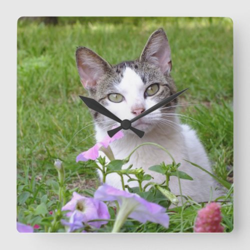 Kitty in the Petunias Wall Clock