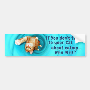 Kitty Inspirations Bumper Sticker