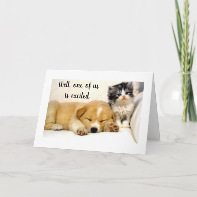 **KITTY** IS EXCITED FOR YOU **80th BIRTHDAY* Card (Front)