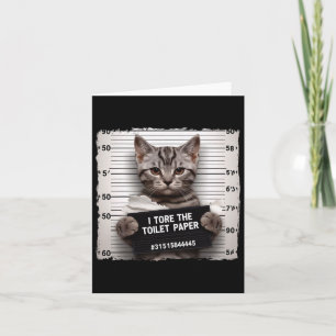 Kitty Jail Photo I Shredded The Toilet Paper Bad C Card