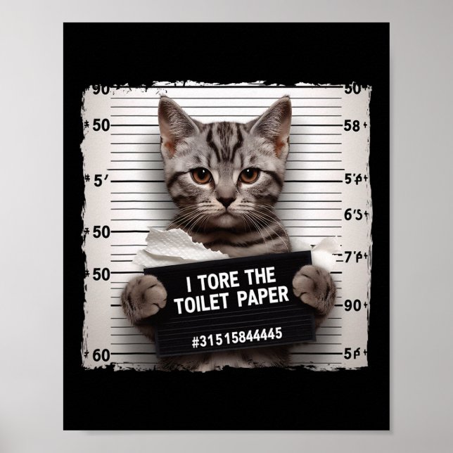 Kitty Jail Photo I Shredded The Toilet Paper Bad C Poster (Front)