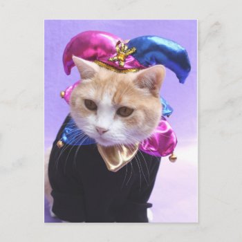 Kitty Jester Postcard by myrtieshuman at Zazzle