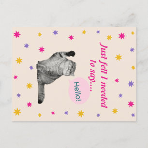 Kitty - Just Felt I Needed To Say Hello Postcard
