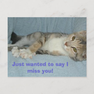 kitty, Just wanted to say I miss you! Postcard