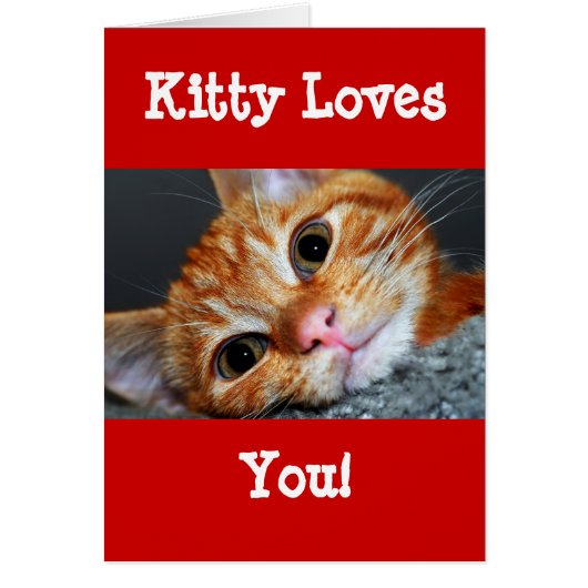 Kitty Kat Cards (Front)
