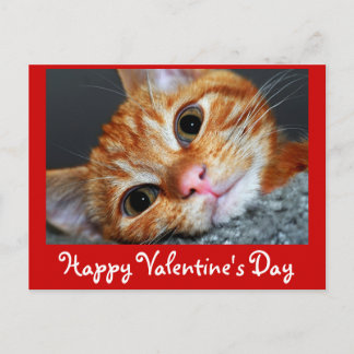 Kitty Kat Holiday Postcard