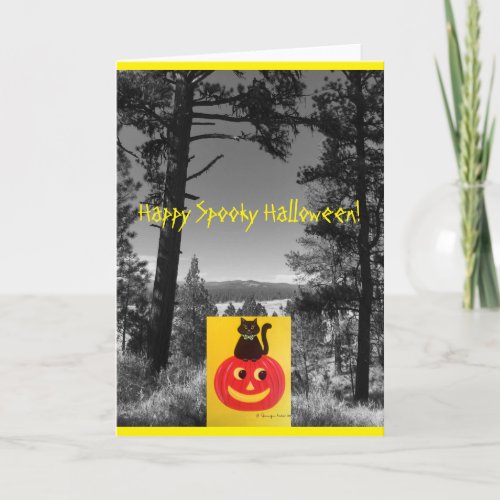 Kitty Kitty  Happy Halloween Card