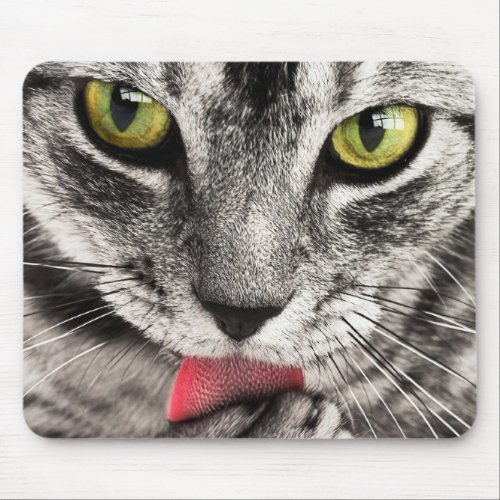 Kitty Lick Mouse Pad