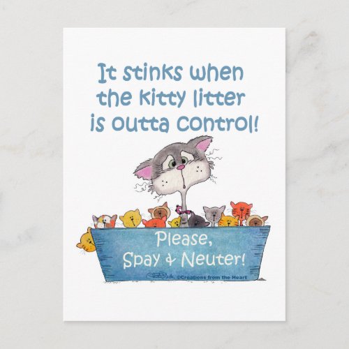 Kitty Litter Stinks Postcard