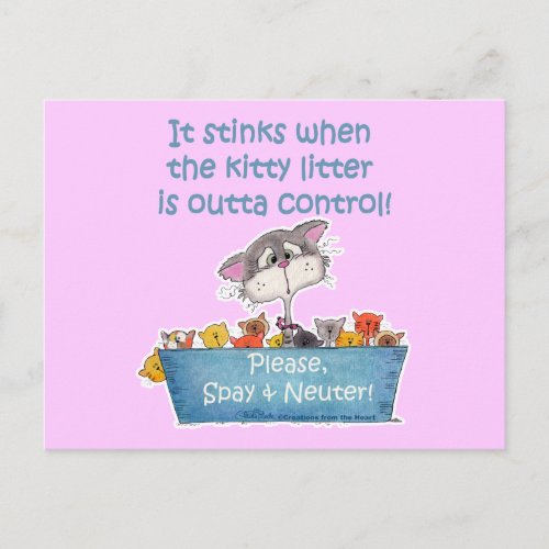 Kitty Litter Stinks Postcard