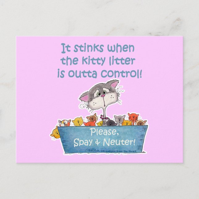 Kitty Litter Stinks Postcard (Front)
