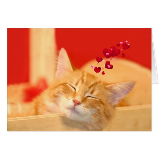 Kitty love even in dreams cards (Front Horizontal)